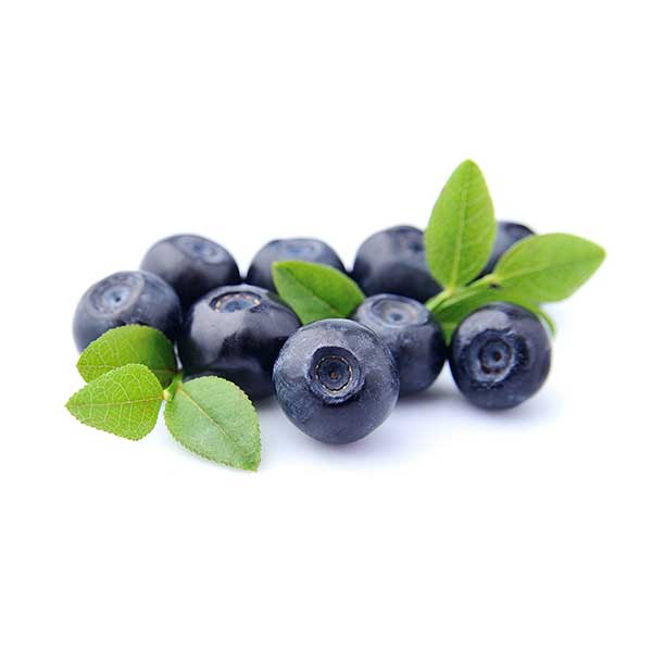vdfe-products-bilberry