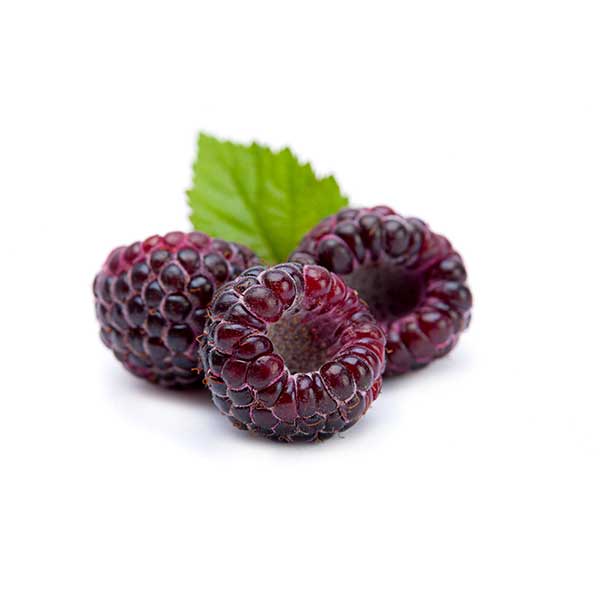 vdfe-products-black-raspberry